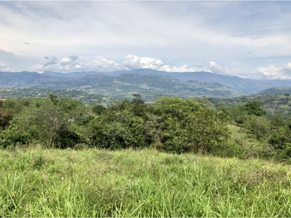Venta de lote en Tamesis - Suroeste - 6