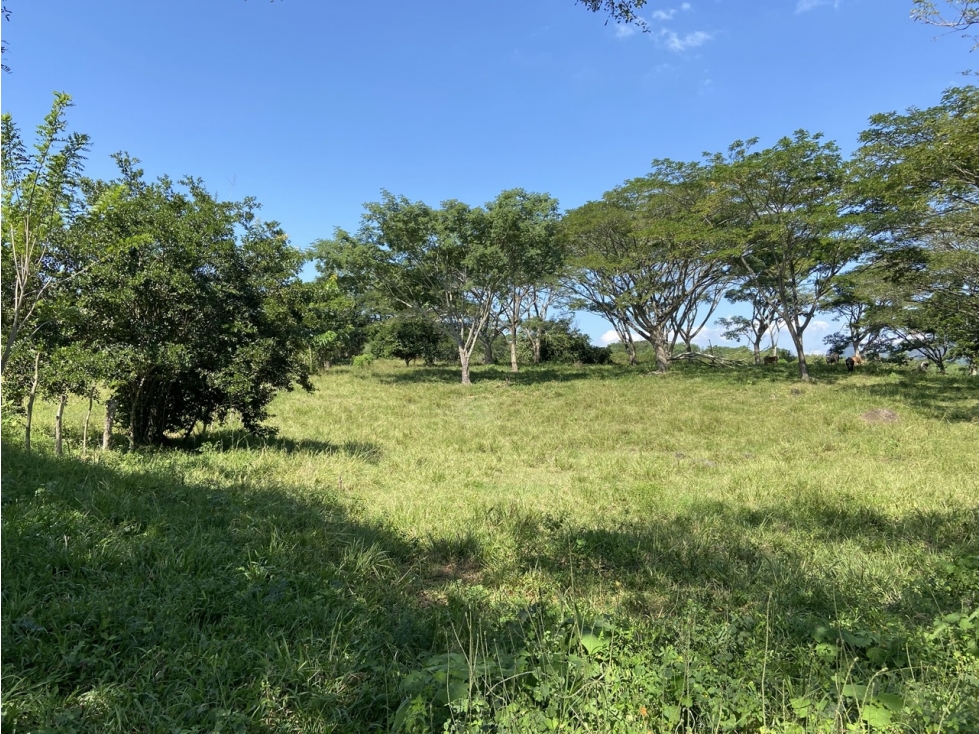 Venta de lote en Puente Iglesias - Suroeste Antioqueño - 1