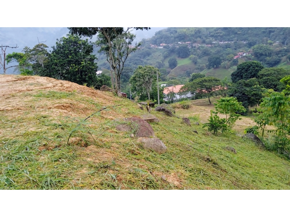 VENTA DE LOTE EN LA ALBANIA, TITIRIBI - ANTIOQUIA - 1