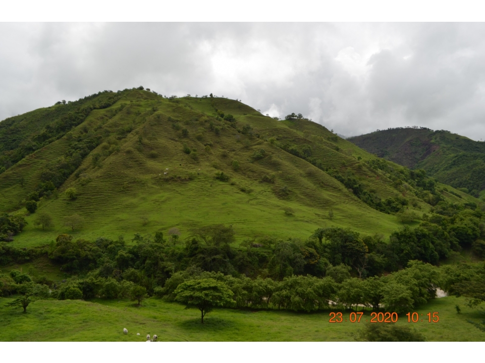 Venta finca en Sta. Barbara, Poblanco, Suroeste antioqueño - 1