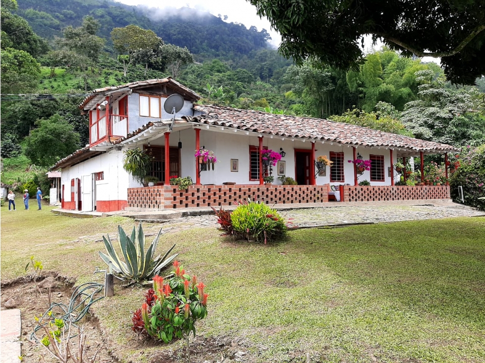Venta finca Fredonia Zancudo Suroeste antioqueño - 1