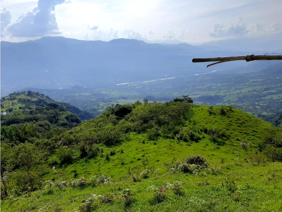 Venta Lotes Fredonia suroeste antioqueño - 6
