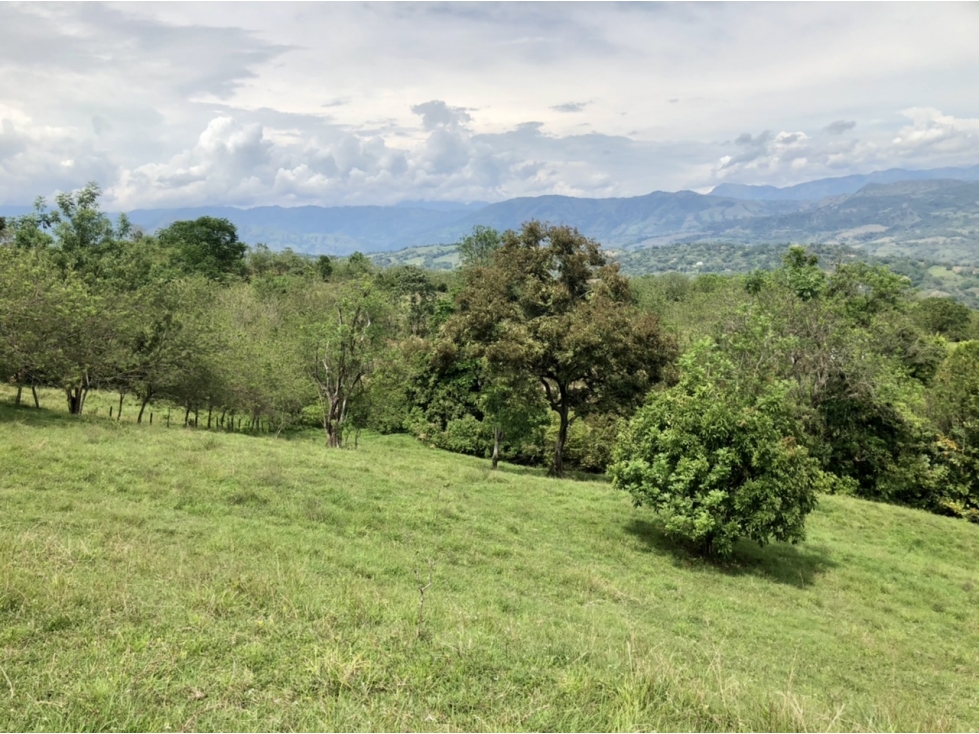 Venta de lote en Tamesis - Suroeste - 2