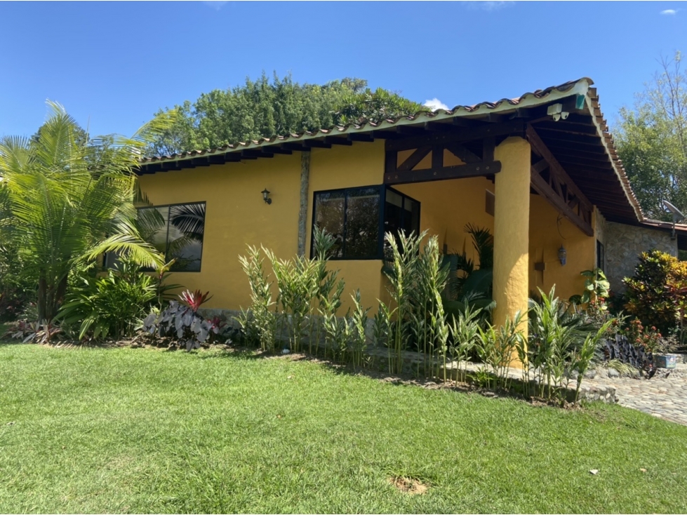 Venta de finca Venecia - Suroeste Antioqueño - 6