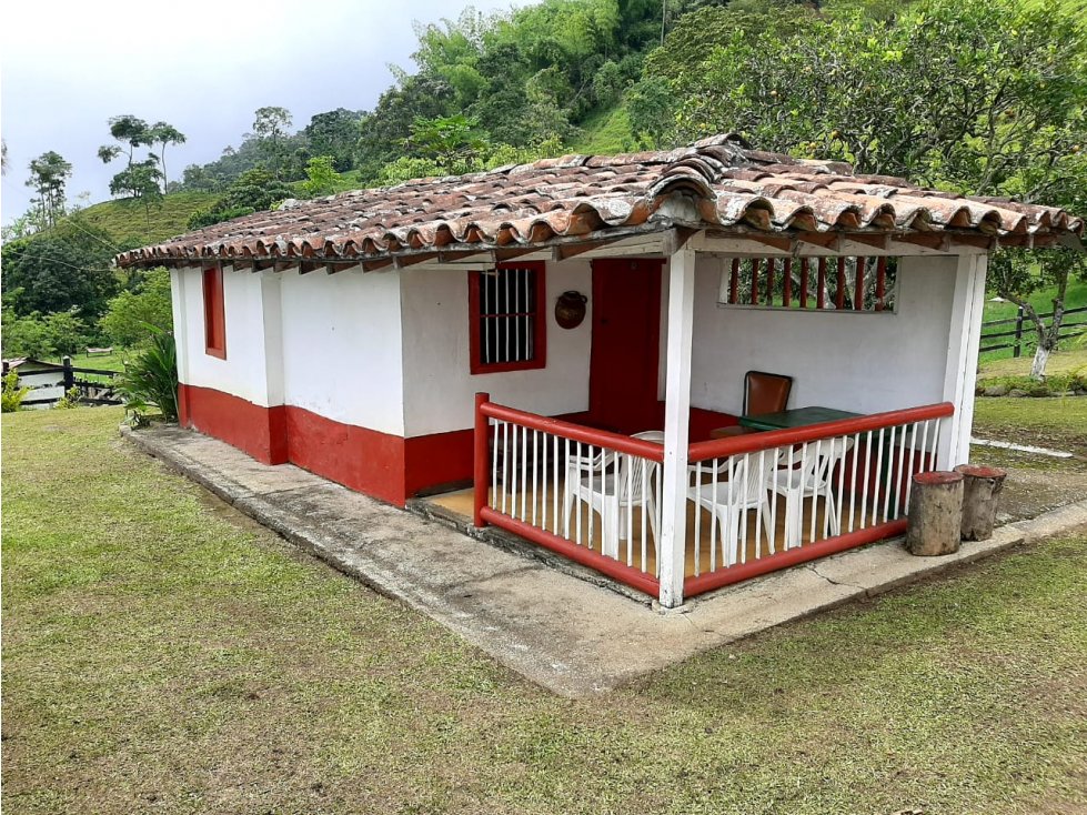 Venta finca Fredonia Zancudo Suroeste antioqueño - 6