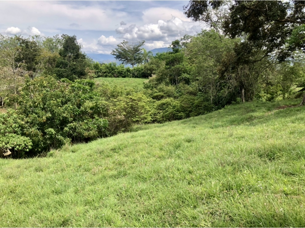 Venta de lote en Tamesis - Suroeste - 3