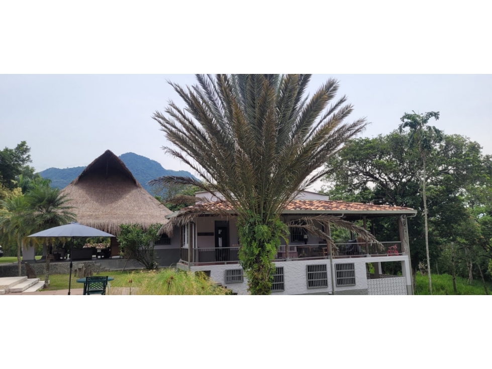 Venta finca en Venecia en el suroeste Antioqueño — foto 5