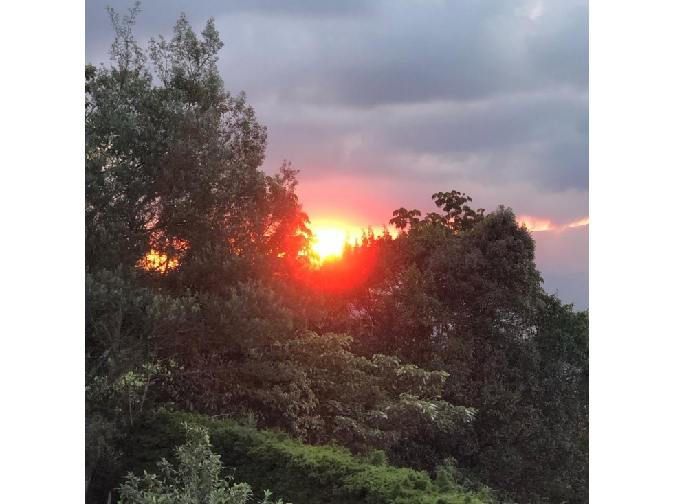 Venta casa en el alto de las Palmas, Envigado, Antioquia