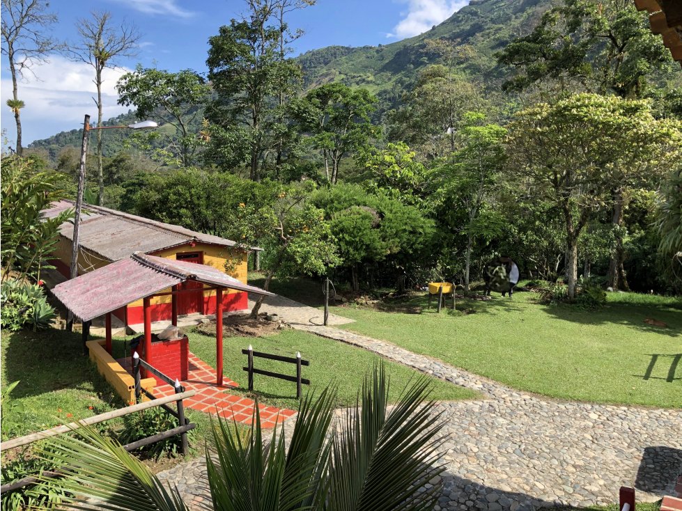 Venta Finca Fredonia - Suroeste Antioqueño - 5