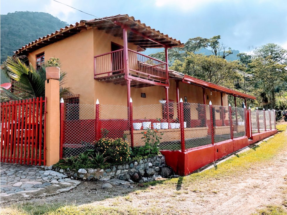 Venta Finca Fredonia - Suroeste Antioqueño - 2