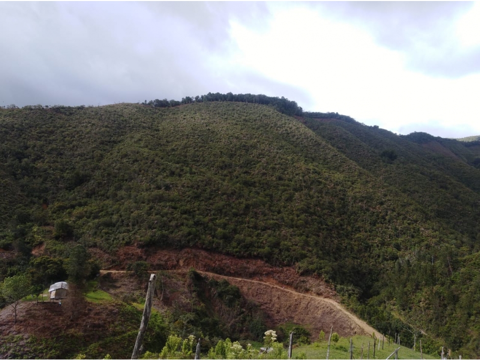 Venta lote Urrao Suroeste antioqueño - 2