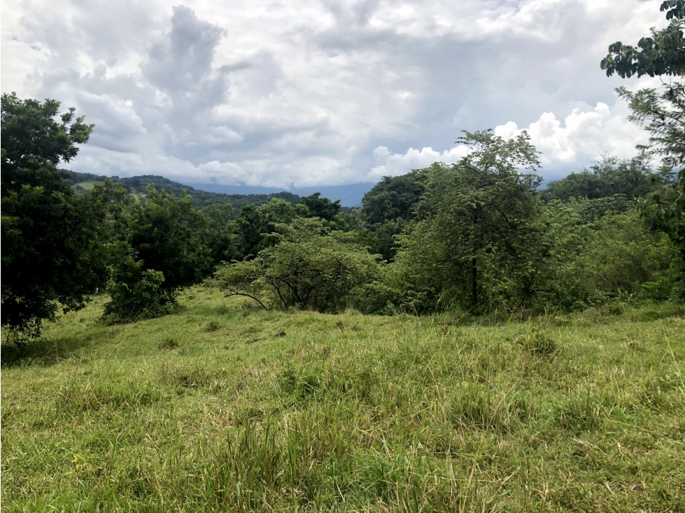 Venta lote Tamesis - Suroeste Antioqueño - 3