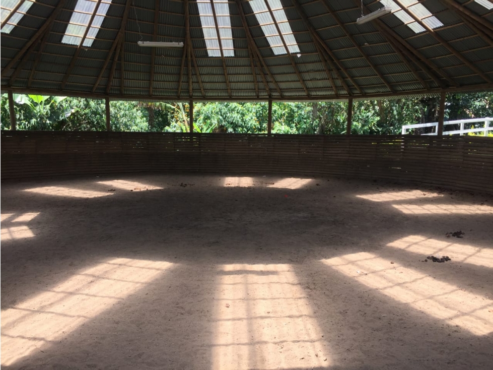 Venta finca venecia El rincon - 2