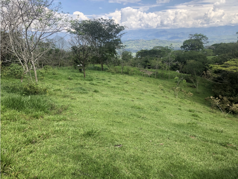 Venta de lote en Tamesis - Suroeste Antioqueño - 2