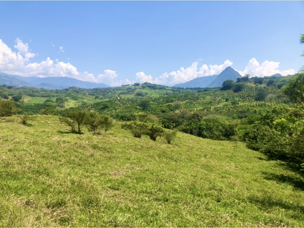 Venta de lote Puente Iglesias - Suroeste Antioqueño - 1