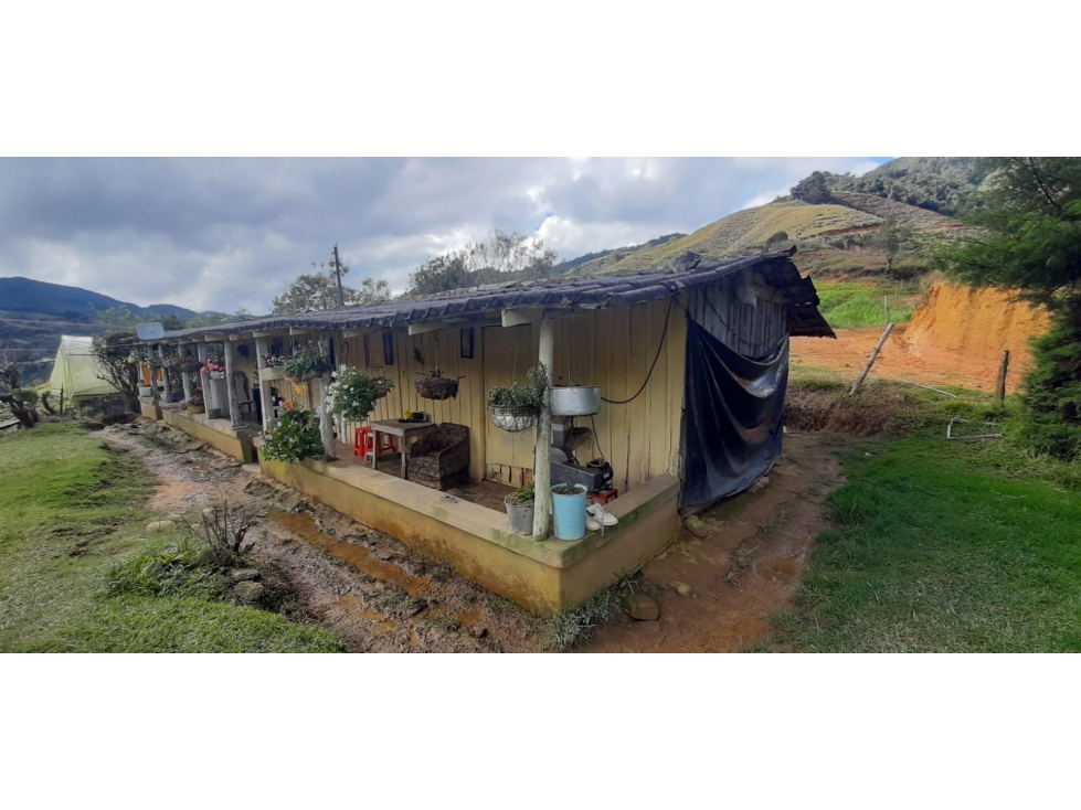 Venta finca en Urrao Suroeste Antioqueno - 5