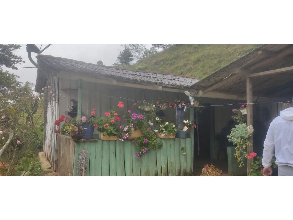 venta finca en Urrao en el suroeste antioqueño - 2