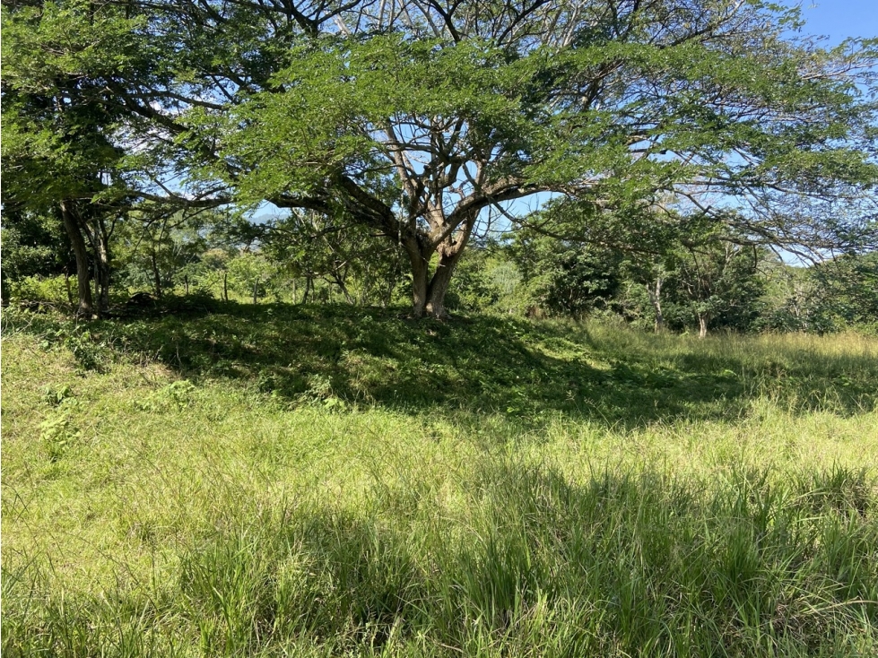 Venta de lote en Puente Iglesias - Suroeste Antioqueño - 2