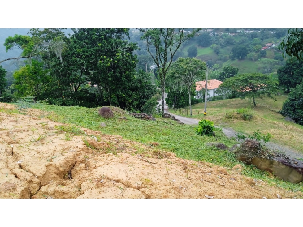 VENTA DE LOTE EN LA ALBANIA, TITIRIBI - ANTIOQUIA - 2