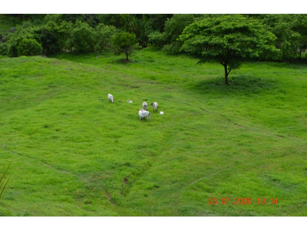 Venta finca en Sta. Barbara, Poblanco, Suroeste antioqueño - 2