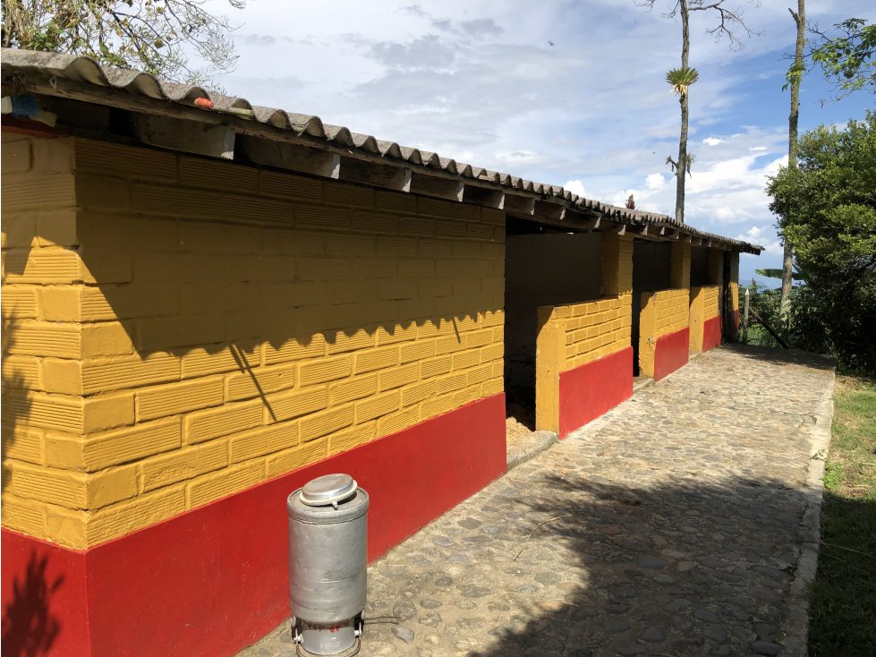 Venta Finca Fredonia - Suroeste Antioqueño - 3