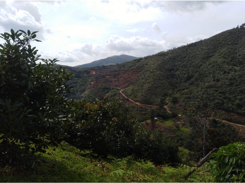 Venta lote Urrao Suroeste antioqueño - 3