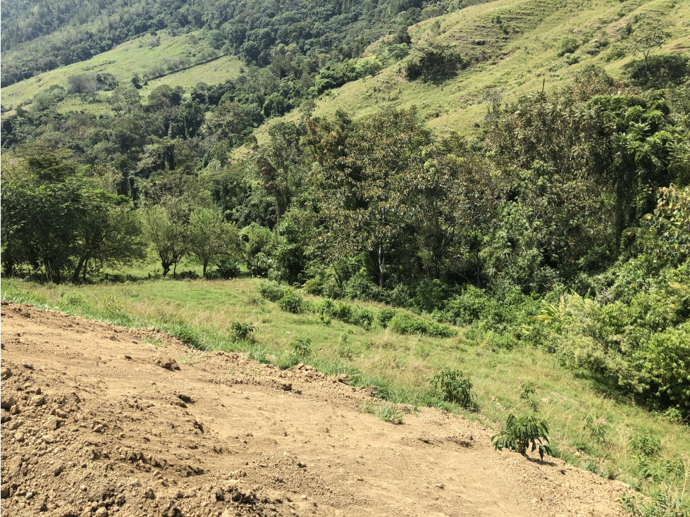 Venta de lote en Peñalisa - Suroeste Antioqueño - 4