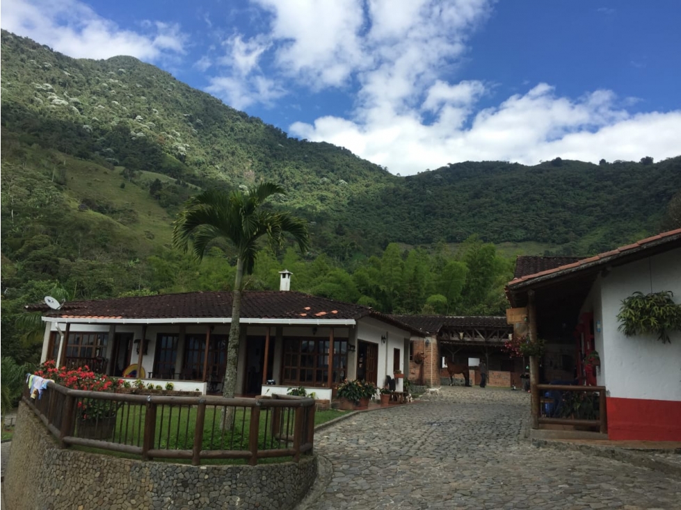 Venta finca venecia El rincon - 3