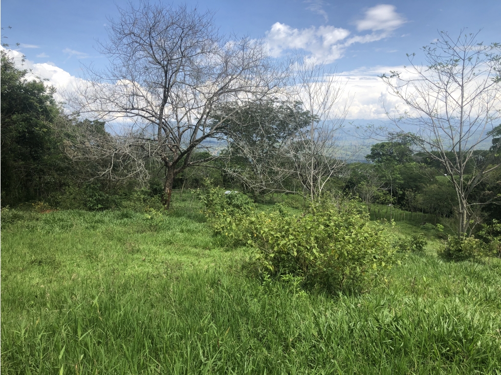 Venta de lote en Tamesis - Suroeste Antioqueño - 3