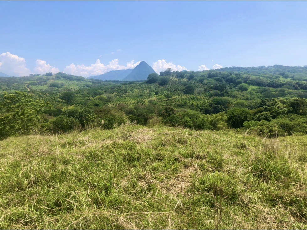 Venta de lote Puente Iglesias - Suroeste Antioqueño - 2