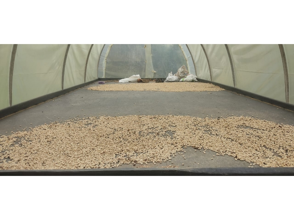 venta finca en Urrao en el suroeste antioqueño - 3