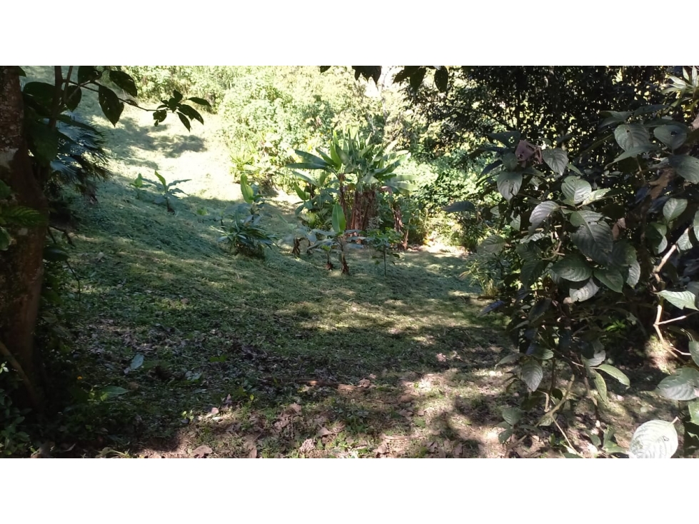 VENTA DE LOTE EN LA ALBANIA, TITIRIBI - ANTIOQUIA - 3