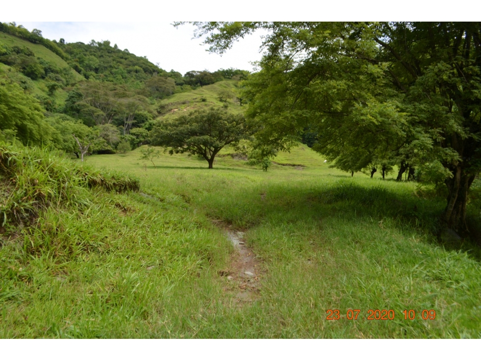 Venta finca en Sta. Barbara, Poblanco, Suroeste antioqueño - 3