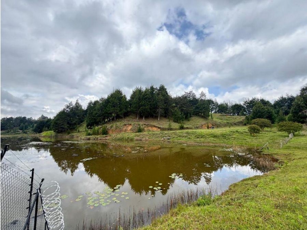 Venta lote en vereda la mosquita, Rionegro, antioquia — foto 3