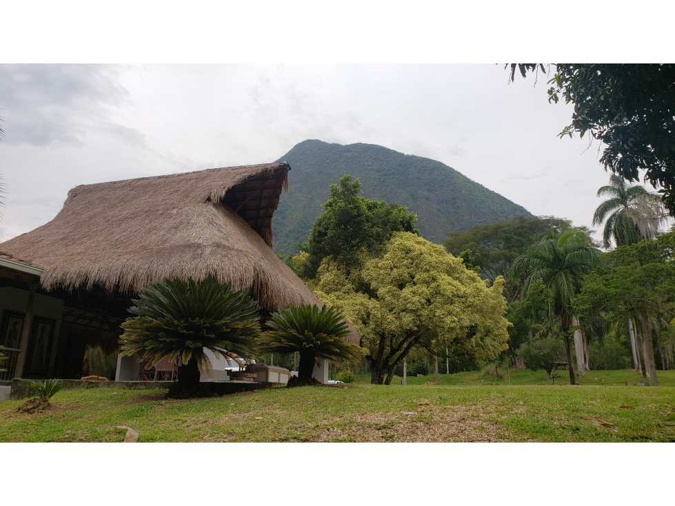 Venta finca en Venecia en el suroeste Antioqueño — foto 4