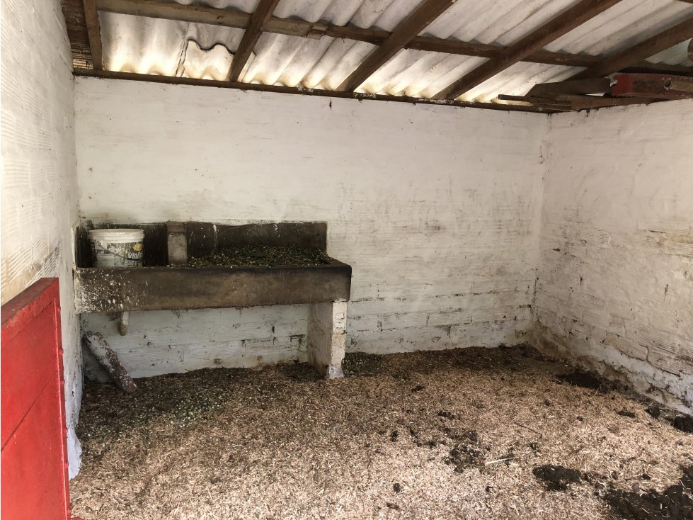 Venta Finca Fredonia - Suroeste Antioqueño - 6