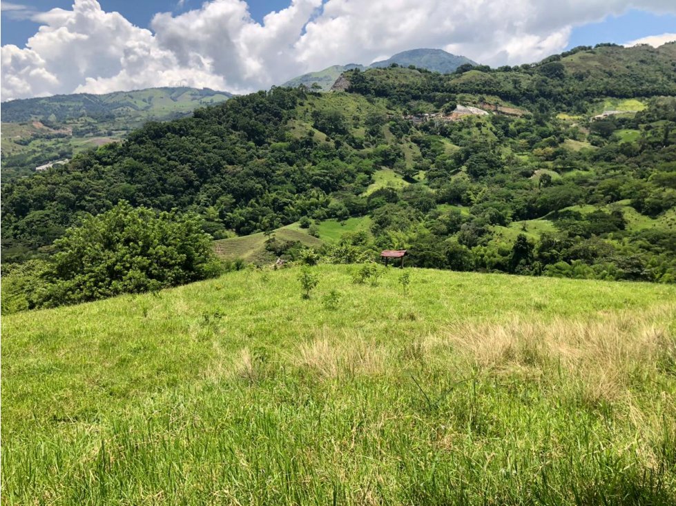 Vende lote Siria Titiribí Suroeste Antioqueño - 5