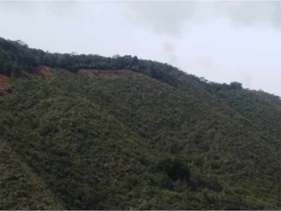 Venta lote Urrao Suroeste antioqueño - 4