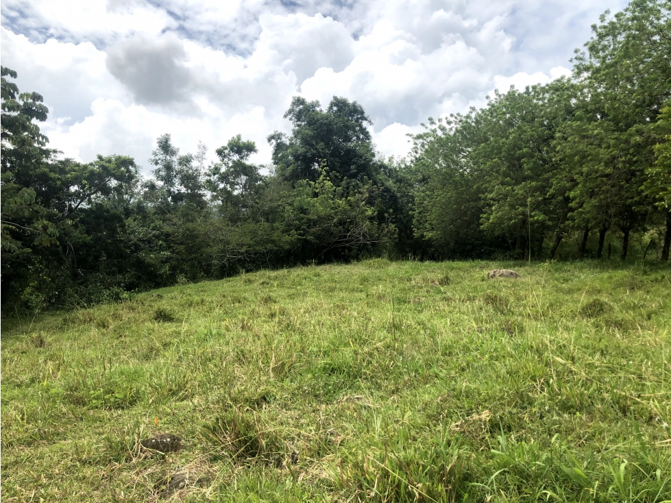 Venta lote Tamesis - Suroeste Antioqueño - 5