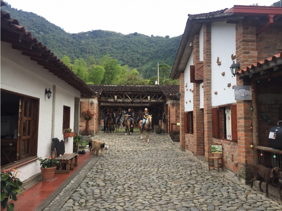 Venta finca venecia El rincon - 4