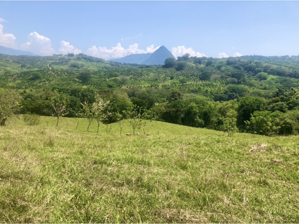 Venta de lote Puente Iglesias - Suroeste Antioqueño - 3