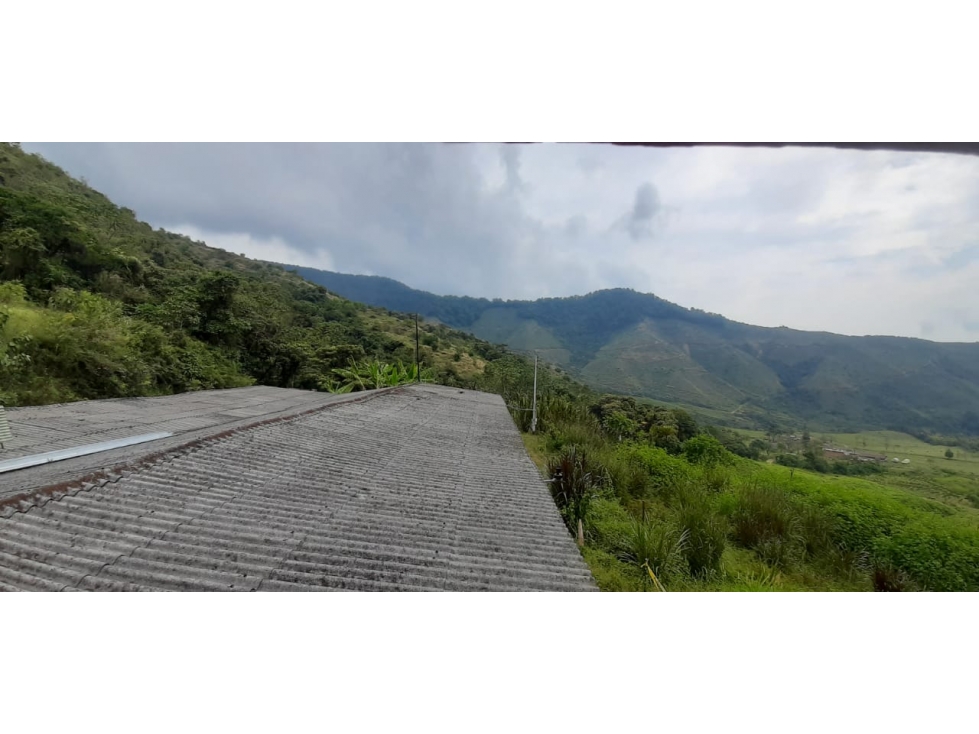 Venta finca de produccion en Salgar Suroeste Antioqueño - 4