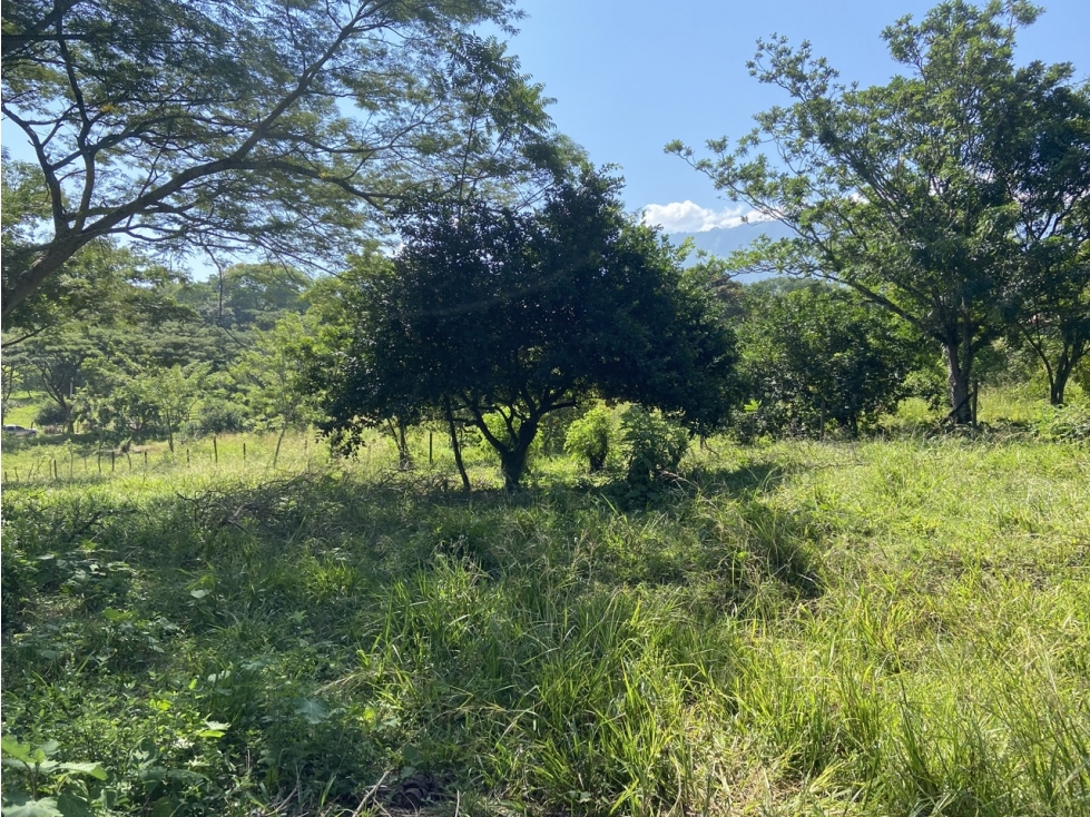 Venta de lote en Puente Iglesias - Suroeste Antioqueño - 4