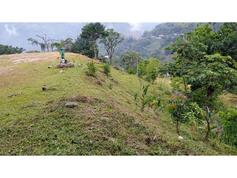 VENTA DE LOTE EN LA ALBANIA, TITIRIBI - ANTIOQUIA - 4