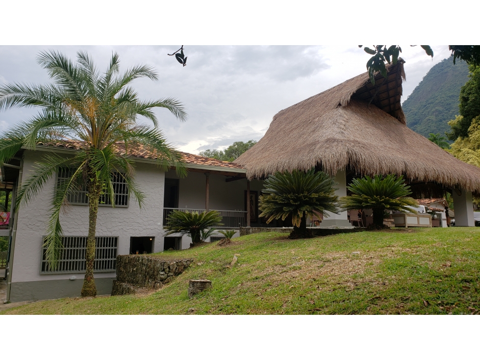 Venta finca en Venecia en el suroeste Antioqueño — foto 3