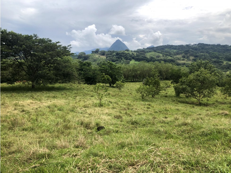 Venta lote Tamesis - Suroeste Antioqueño - 1