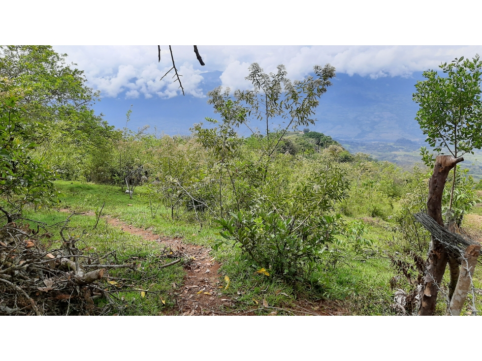 Venta Lotes Fredonia suroeste antioqueño - 3