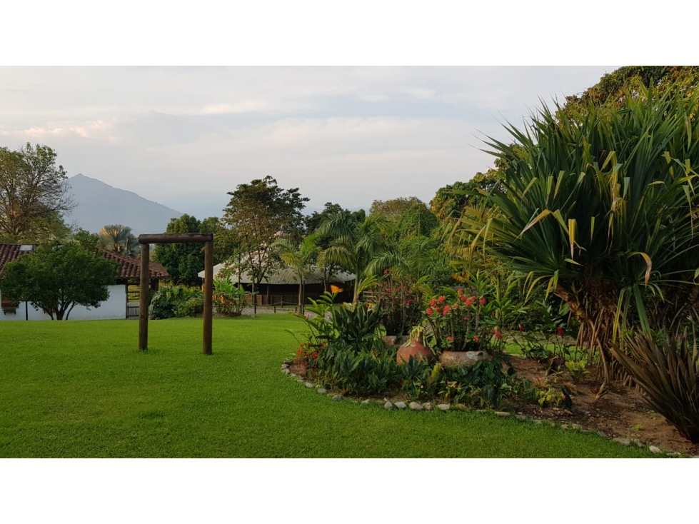Venta finca venecia El rincon - 5