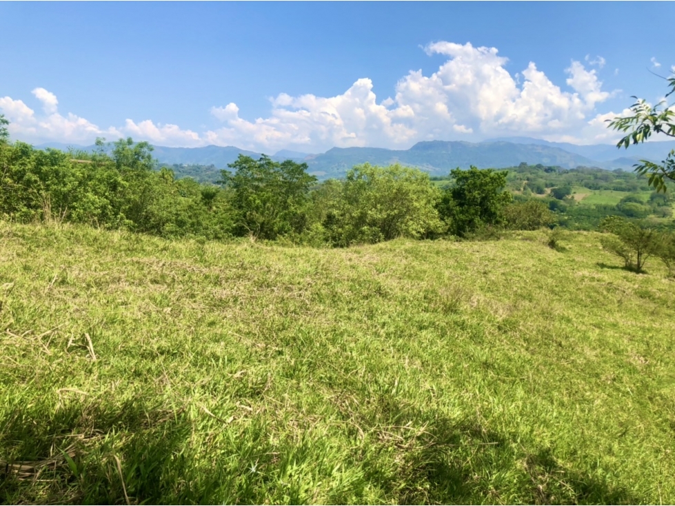 Venta de lote Puente Iglesias - Suroeste Antioqueño - 4