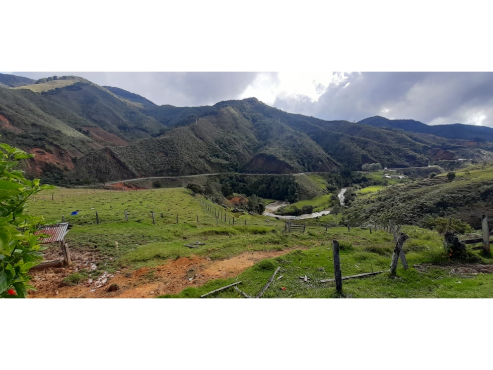 Venta finca en Urrao Suroeste Antioqueno - 3